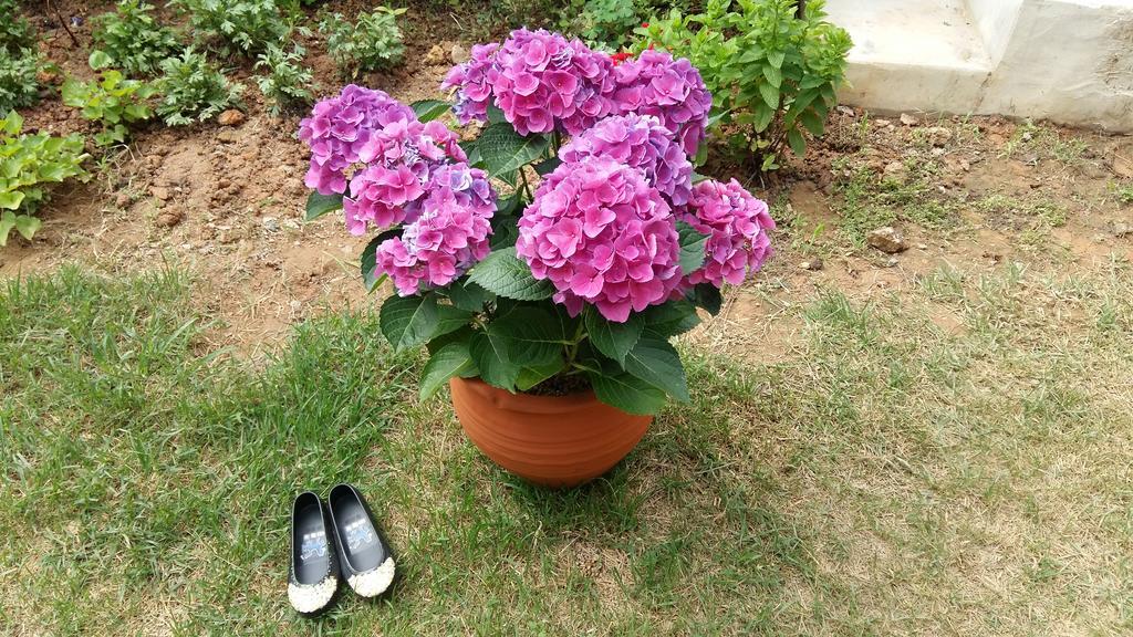 מוקפו Yujeong Hanok Guesthouse מראה חיצוני תמונה