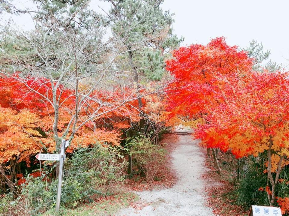 מוקפו Yujeong Hanok Guesthouse מראה חיצוני תמונה